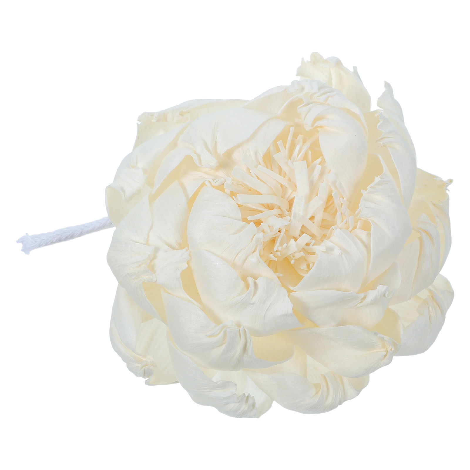 Ароматический диффузор в виде  – обзор и цена Home Fragrance Us