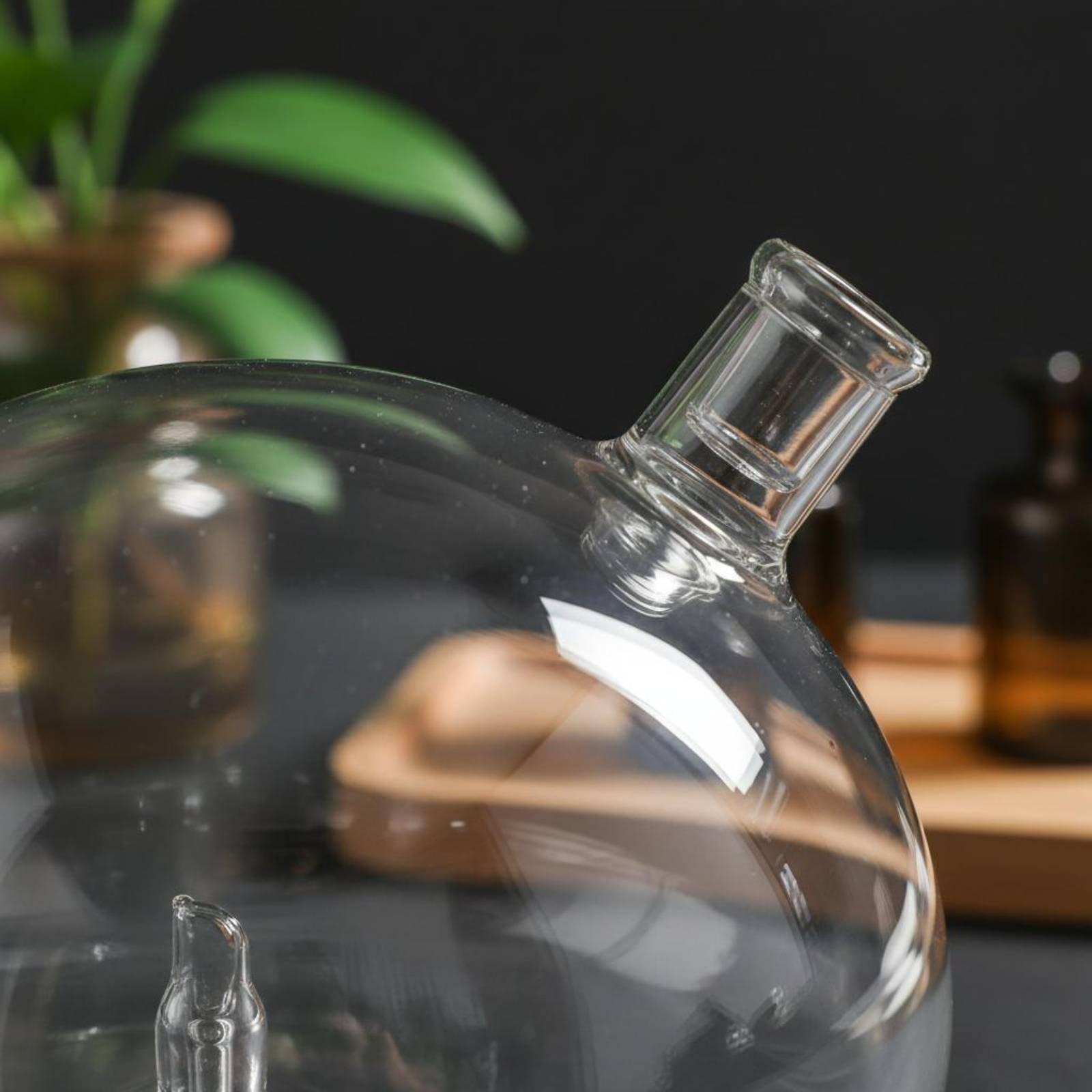 Универсальный стеклянный сменн – обзор и цена Home Fragrance Us